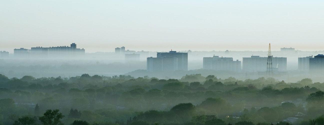 雾笼罩着树林和城市